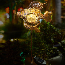 Fun Fish Shape Solar Outdoor Lights Garden&Yard&Walkway Decoration Stakes LED Lights